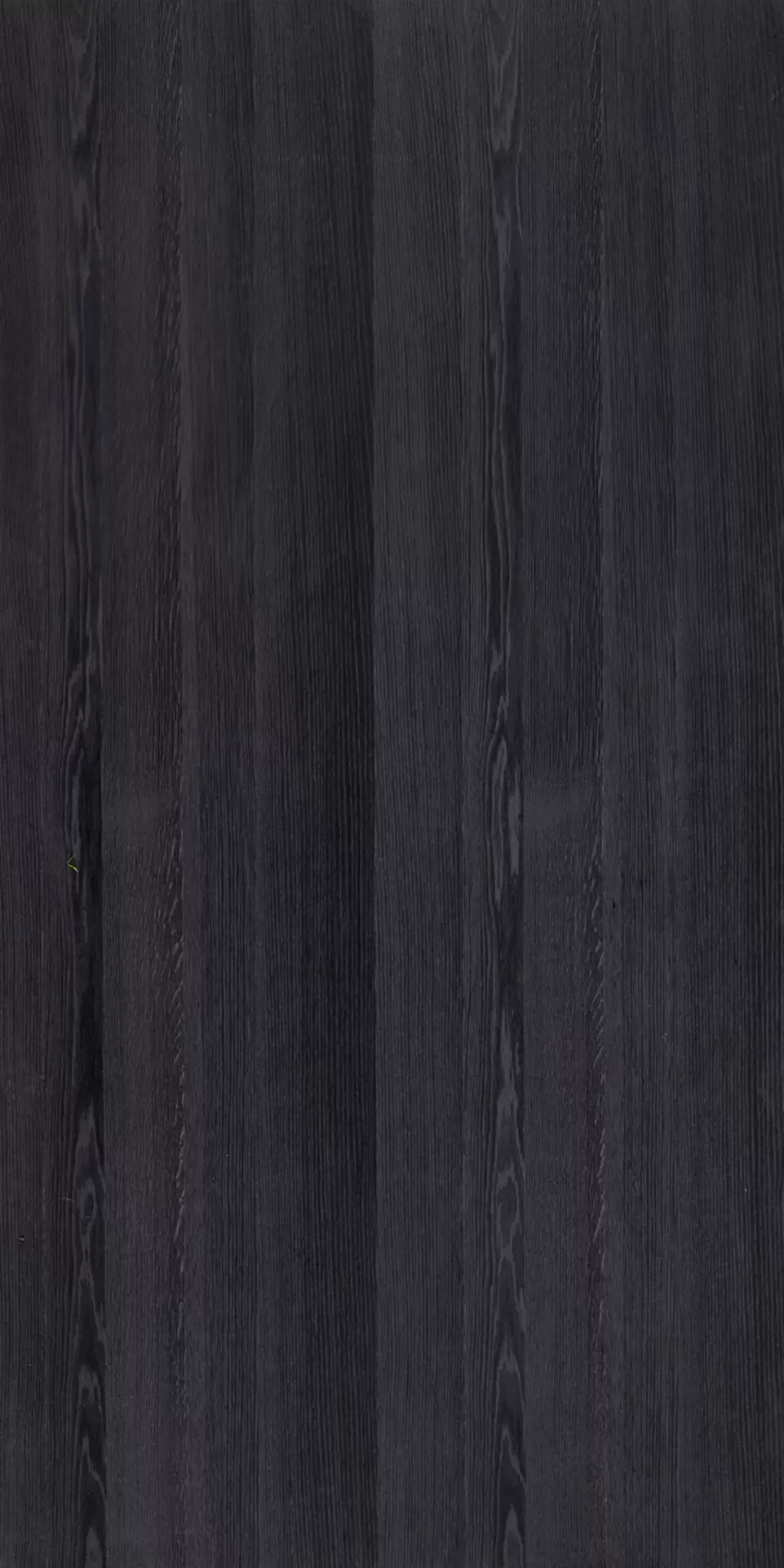 4486_a312e9a5-7bc5-43fa-b23b-e82bd28e0117